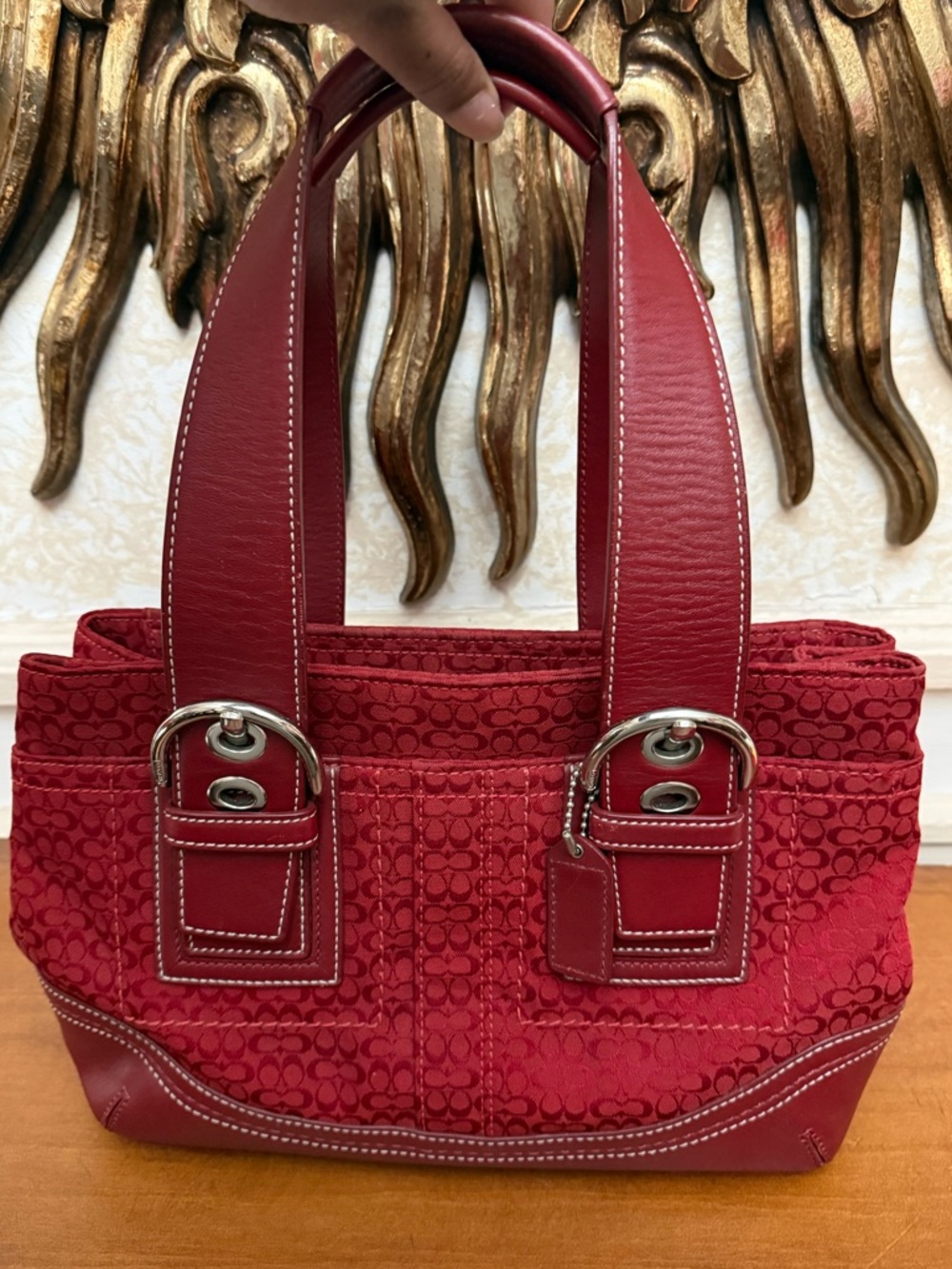 Coach Signature Y2K purse